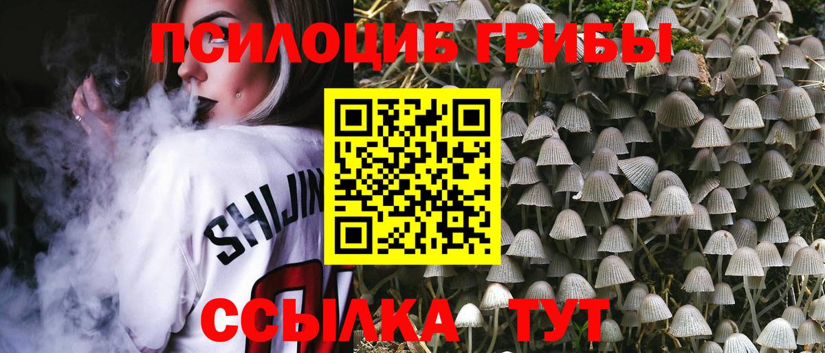 Галлюциногенные грибы MAGIC MUSHROOMS Ростов Великий